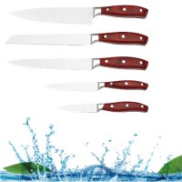 Homesen free sample durable stainless steel blade knife set with wood handle